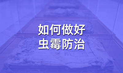 檔案修復(fù)后，如何做好蟲霉防治